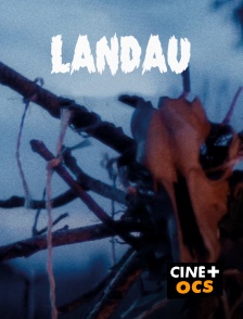CINÉ Cinéma - Landau
