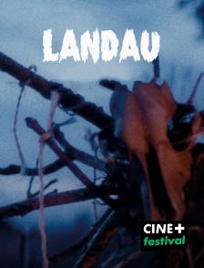 CINE+ Festival - Landau