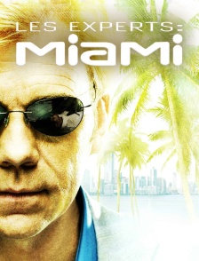 Les experts : Miami