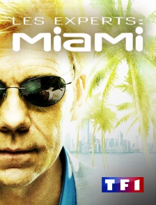 TF1 - Les experts : Miami en replay