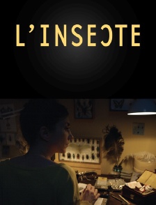 L'insecte