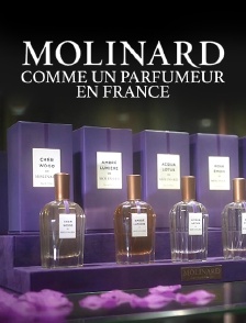Molinard, comme un parfumeur en France