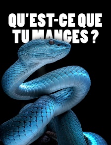 Qu'est-ce que tu manges ?