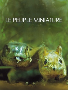 Le peuple miniature