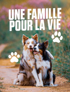 Une famille pour la vie
