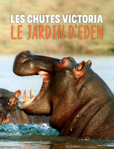 Les chutes Victoria : le jardin d'Eden africain