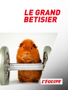 L'Equipe - Le grand bêtisier du sport
