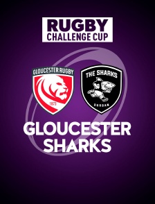 Rugby - Finale de la Challenge Cup : Gloucester / Sharks