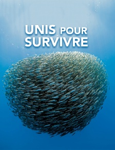 Unis pour survivre