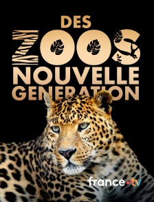 france.tv - Des zoos nouvelle génération