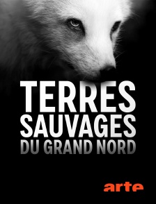 Arte - Terres sauvages du Grand Nord