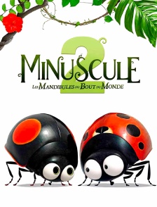 Minuscule 2 : Les mandibules du bout du monde
