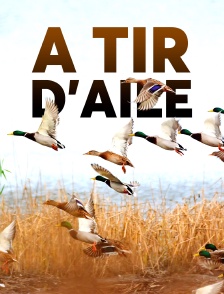 A tire d'aile