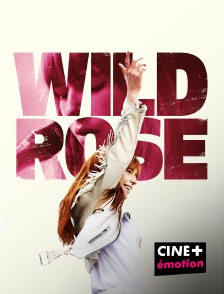 CINE+ Emotion - Wild Rose