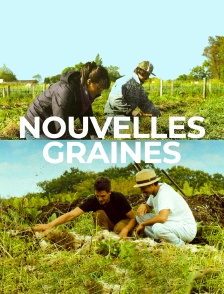 Nouvelles graines