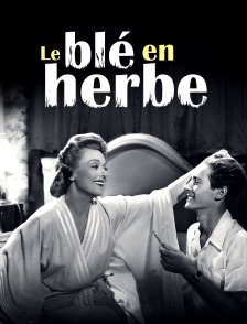 Le blé en herbe