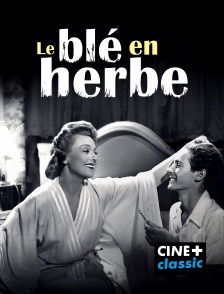 Le blé en herbe