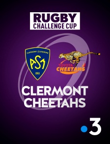 Rugby - Challenge Cup : Clermont / Cheetahs