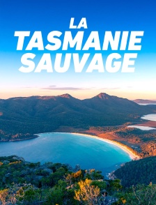 La Tasmanie sauvage