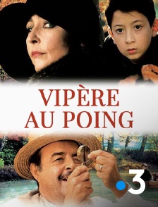 France 3 - Vipère au poing