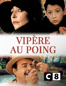 C8 - Vipère au poing