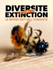 Diversité contre extinction : le grand défi de l'humanité