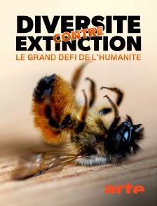 Arte - Diversité contre extinction : le grand défi de l'humanité