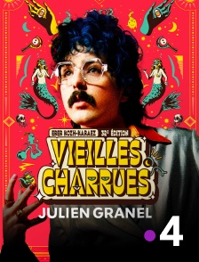 France 4 - Julien Granel en concert aux Vieilles Charrues 2024