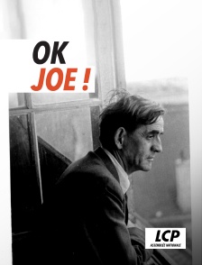 OK, Joe ! Ou les mémoires du soldat Guilloux