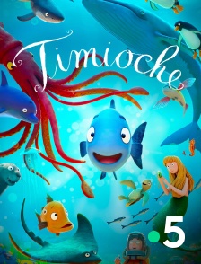 France 5 - Timioche
