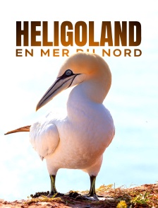 Heligoland en mer du Nord