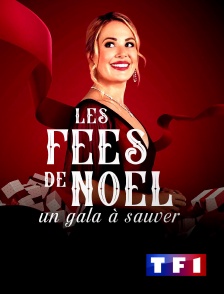 TF1 - Les fées de Noël : un gala à sauver
