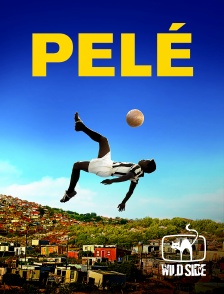 Wild Side TV - Pelé