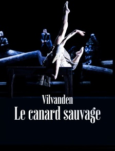 Vilvanden - Le Canard sauvage