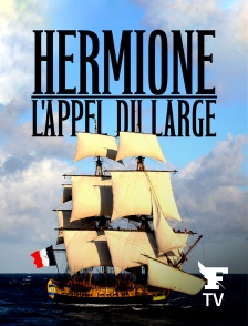 Le Figaro TV - L'appel du large