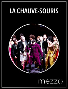 Mezzo - La Chauve-Souris