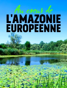 Au coeur de l'Amazonie européenne