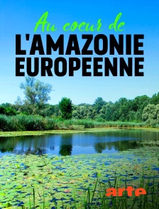 Arte - Au coeur de l'Amazonie européenne