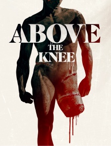 Above the Knee