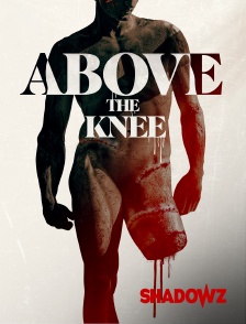 Shadowz - Above the Knee