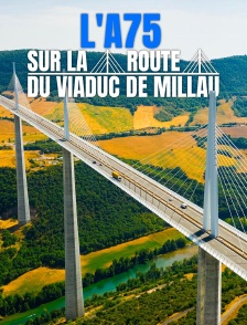 L'A75 : sur la route du viaduc de Millau