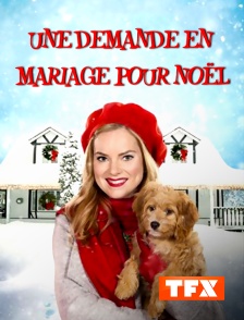 TFX - Une demande en mariage pour Noël