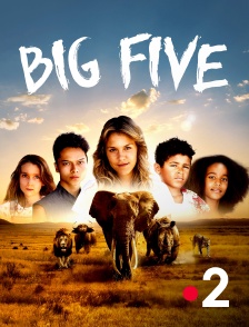 France 2 - Big five