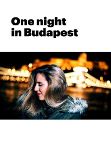 One night in Budapest