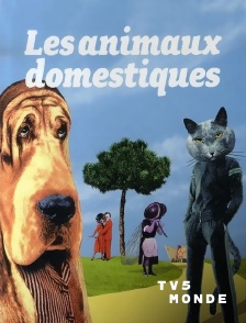 TV5MONDE - Les animaux domestiques