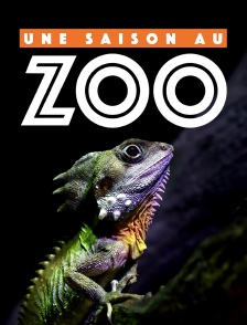 Une saison au zoo