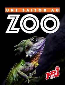 NRJ 12 - Une saison au zoo