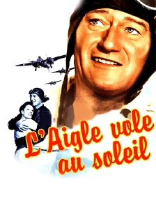 L'aigle vole au soleil