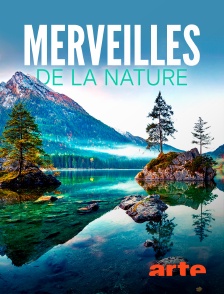 Merveilles de la nature