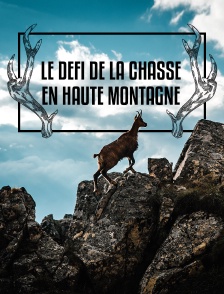 Le défi de la chasse en haute montagne